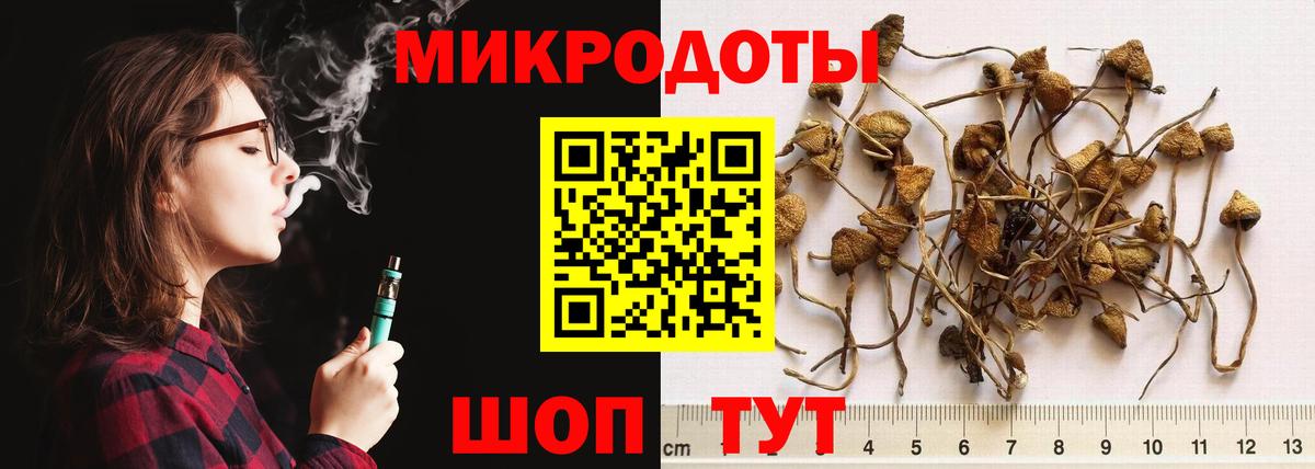 Псилоцибиновые грибы MAGIC MUSHROOMS Качканар