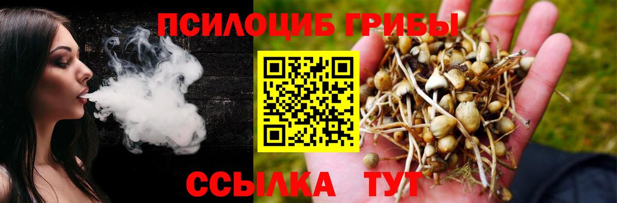 Псилоцибиновые грибы Cubensis  Вход с VPN  Галлюциногенные грибы Cubensis  Качканар 
